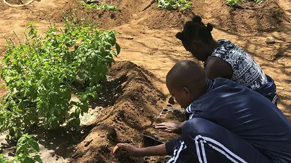 ecofarm