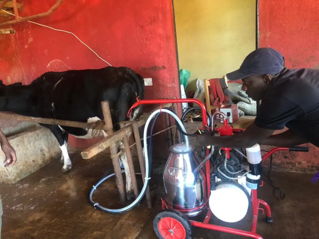 new milk machine for this year