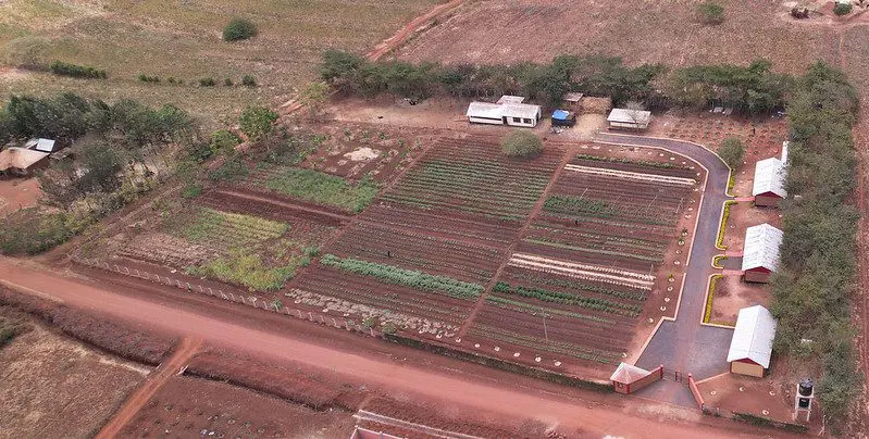 ecofarm