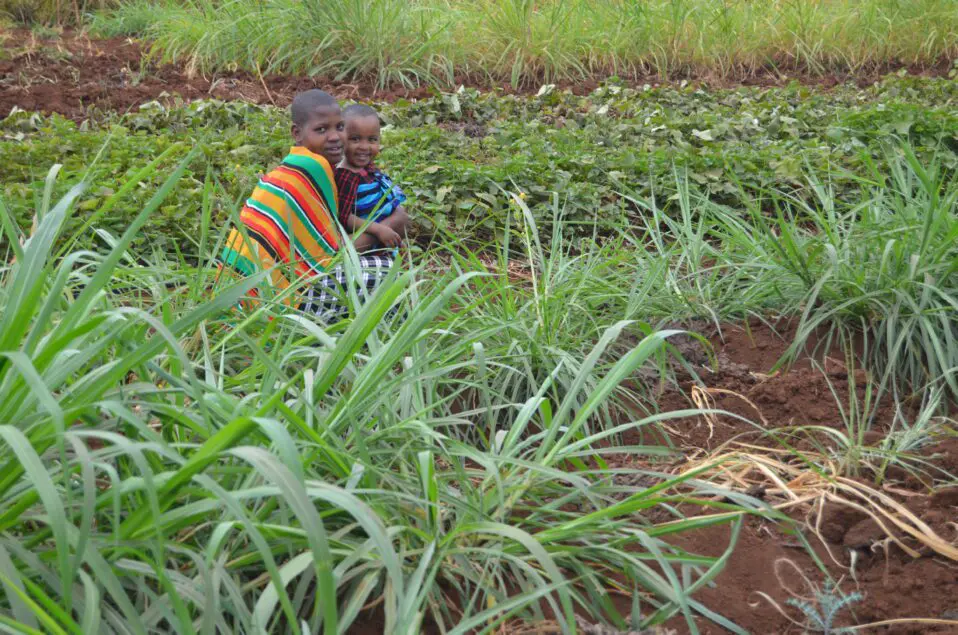 Yeyolai with Viola at the ecoFarm