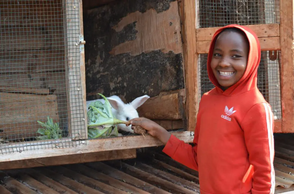 MGRC girl in a red hoodie smiles while feeding a white rabbit lettuce.
