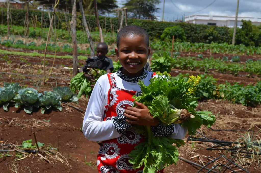 young maasia girl holding crops in her arms while standing on an ecofarm