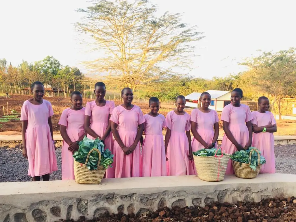 pinkdressesfarm