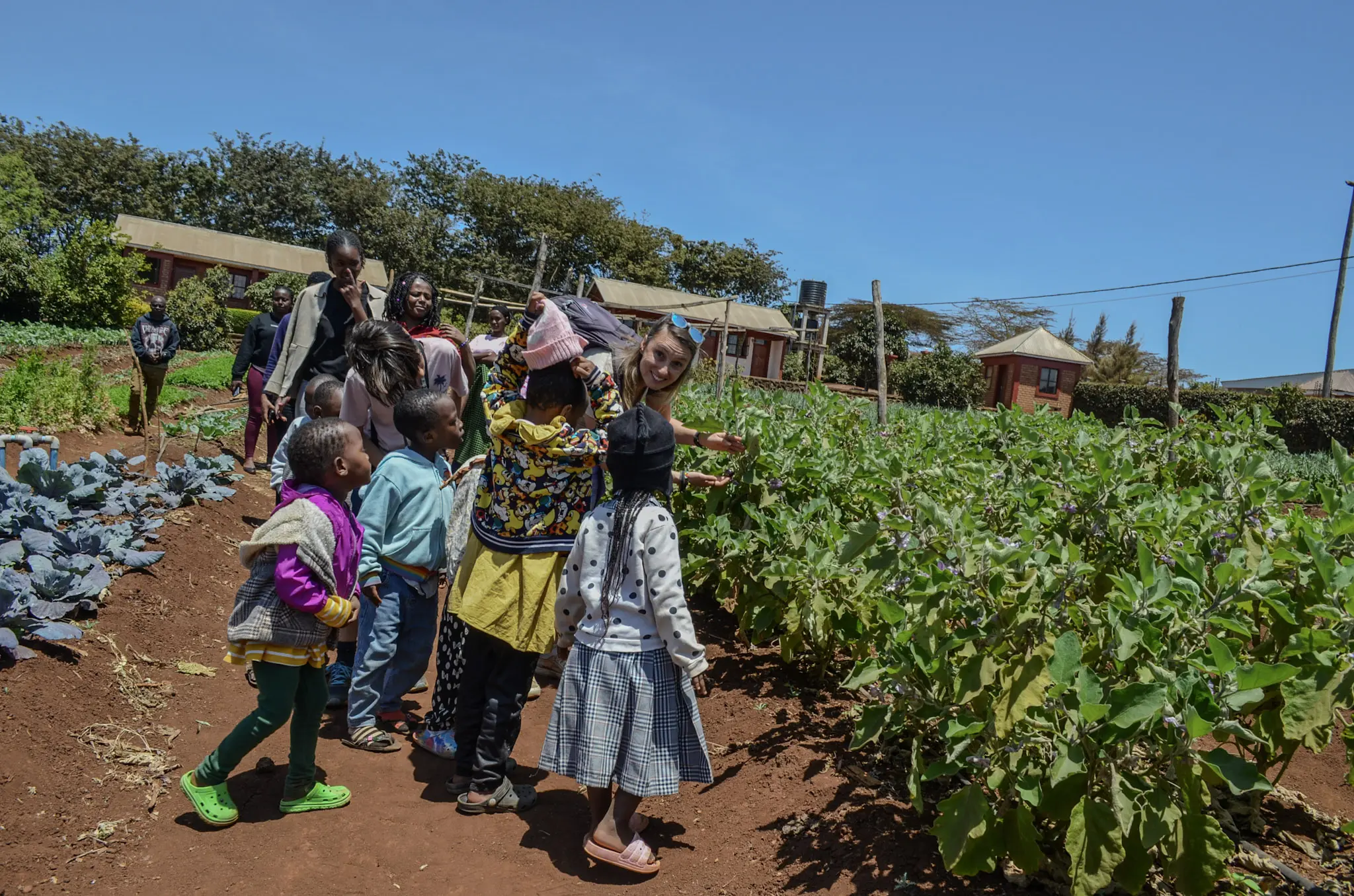 guests visiting the ecofarm
