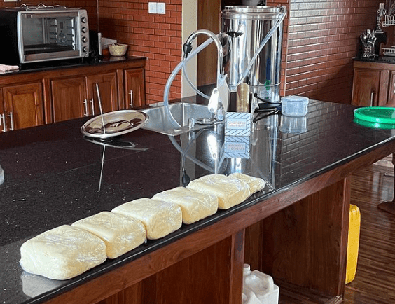 A small pasteurizing machine on a kitchen counter displaying blocks of butter in a row.