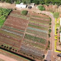 arial view of the MGRC ecofarm crops