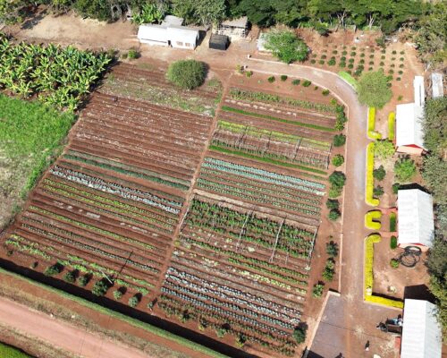 MGRC ecoFarm arial view of the MGRC ecofarm crops